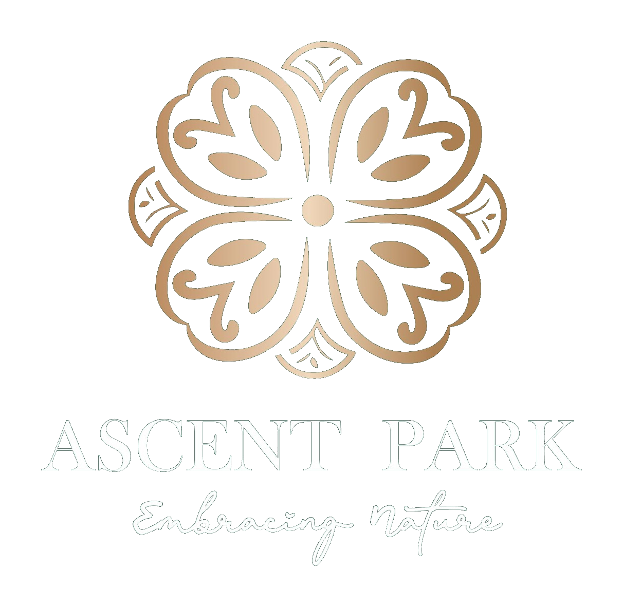 Ascent Park logo